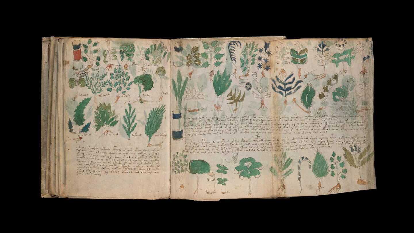 The Voynich Manuscript: Secrets of the World’s Most Mysterious Book